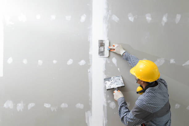 Reliable Saco, ME Mold Removal Solutions