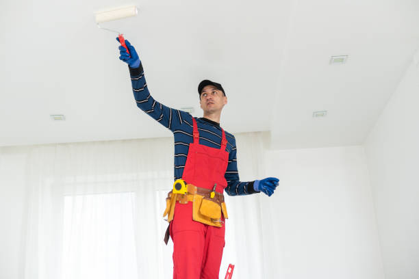 Best Mold Remediation for Healthcare Facilities  in Saco, ME